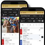 what is a flag bet in horse racing
